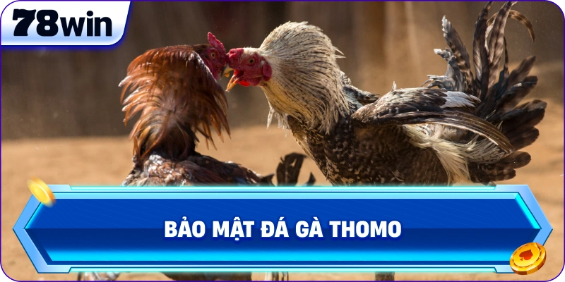 Bảo mật Đá Gà Thomo