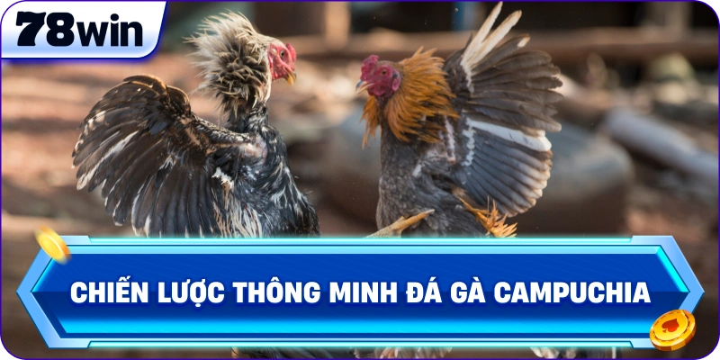 Chiến lược thông minh Đá Gà Campuchia