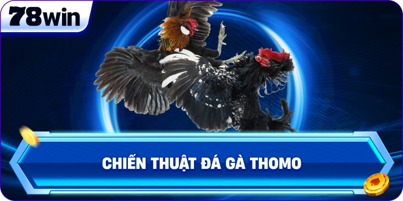 Chiến thuật Đá Gà Thomo