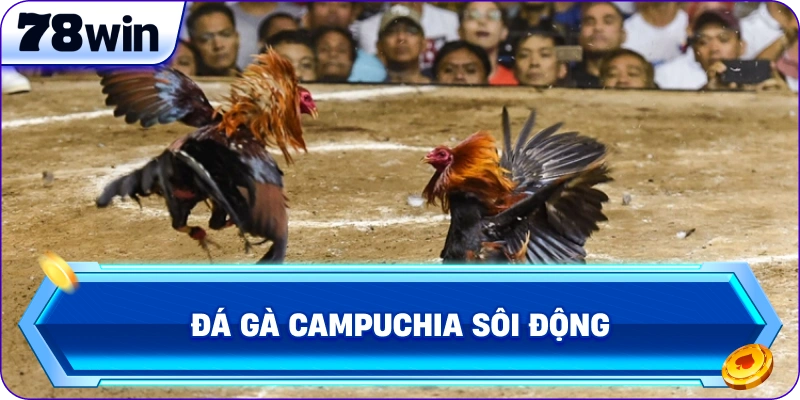 Đá Gà Campuchia sôi động