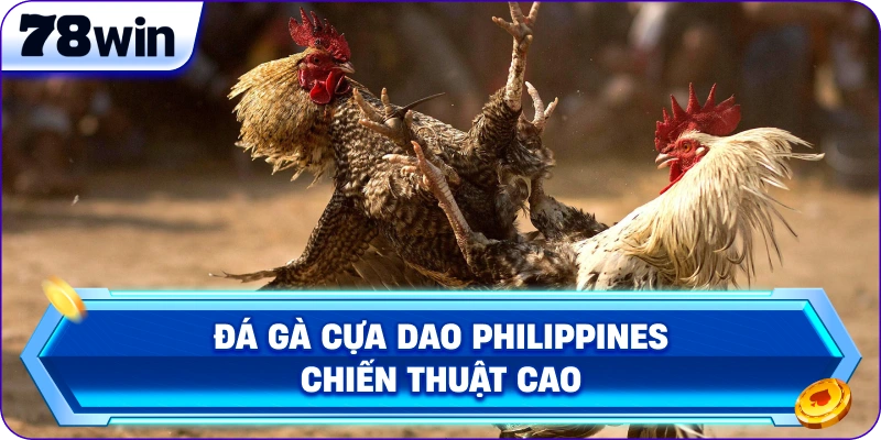 Đá gà cựa dao Philippines chiến thuật cao 
