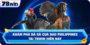 Đá Gà Cựa Dao Philippines: Cá Cược Hấp Dẫn 2026