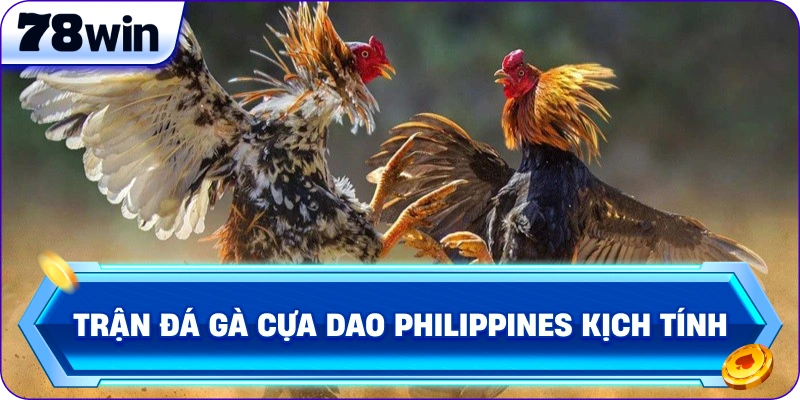 Trận đá gà cựa dao Philippines kịch tính 